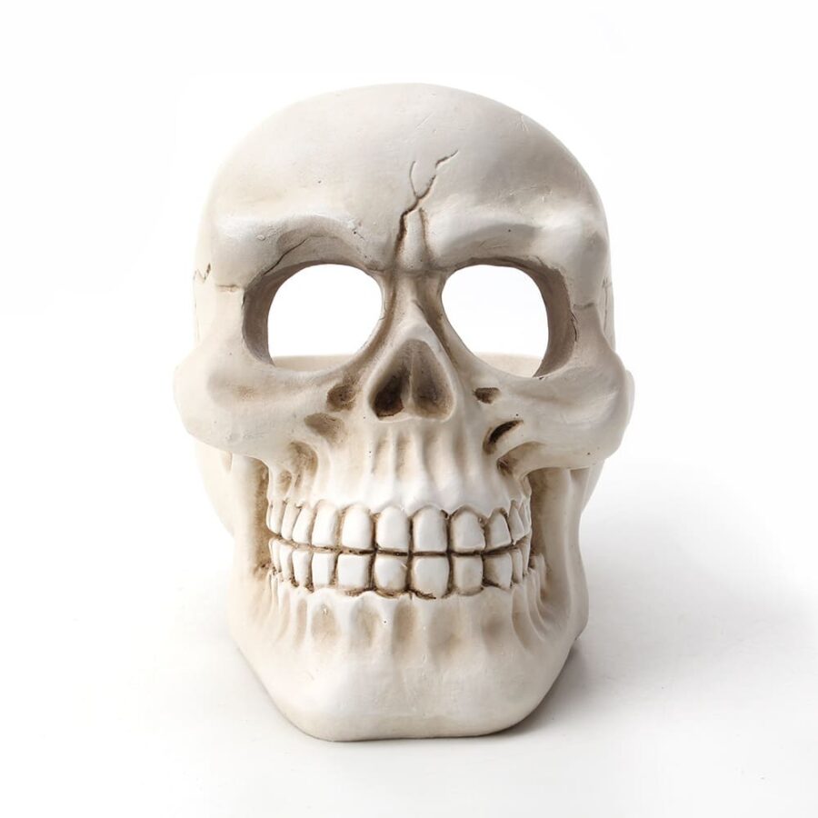 cool skull Resin Ashtray